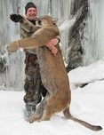 Cougar, Mountain Lion, Idaho Outfitters, Russell Pond Joe Cabral guided Boone and Crockette