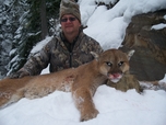 Mountain Lion Russell Pond Outfitters 2010
