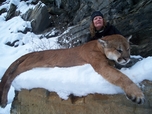 Huge Cougar or Mountain lion, Russell Pond Outfitters