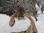Trophy Mountain lion Russell Pond Outfitters Guided cougar hunt